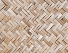 <? echo $product_row['size'];?>